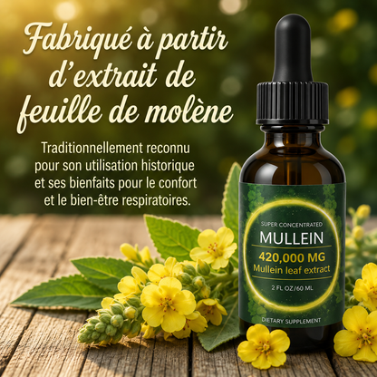 Gouttes de Soutien Pulmonaire à la Molène