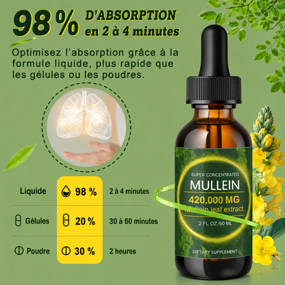 Gouttes de Soutien Pulmonaire à la Molène