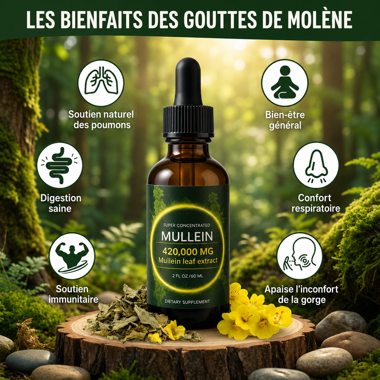 Gouttes de Soutien Pulmonaire à la Molène