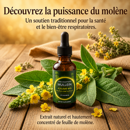 Gouttes de Soutien Pulmonaire à la Molène